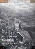 Gerber, Robert - Wildlebende Raubtiere Deutschlands