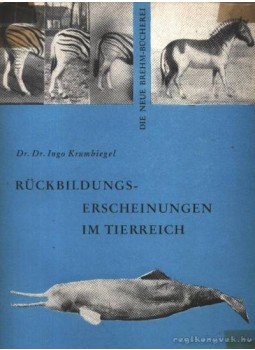 Dr. Dr. Krumbiegel, Ingo - Rückbildungserscheinungen im Tierreich Dr. Dr. Krumbiegel, Ingo - Rückbildungserscheinungen im Tierreich, Wittenberg Lutherstadt 1961 antikvár könyv