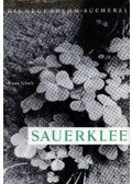 Schulz, Bruno - Sauerklee