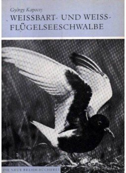 Kapocsy György - Weissbart- und Weissflügelseeschwalbe Kapocsy György - Weissbart- und Weissflügelseeschwalbe, Wittenberg Lutherstadt 1979 antikvár könyv
