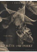 Günter Olberg - Blüte und Insekt (A virág és a rovar)