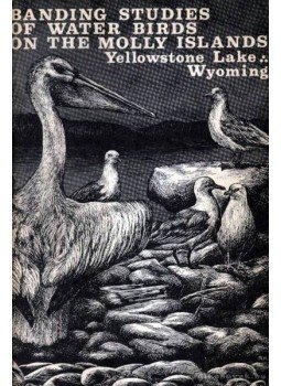  - Banding Studies of Water Birds on the Molly Islands (Molly-szigetek vízimadár állomány-megjelölésük tapasztalatai),  1967 antikvár könyv