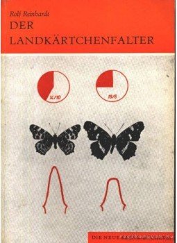 Reinhardt, Rolf - Der Landkartchenfalter 1972. (A pókhálós lepke) Reinhardt, Rolf - Der Landkartchenfalter 1972. (A pókhálós lepke), Wittenberg Lutherstadt 1972 antikvár könyv