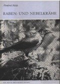 Melde, Manfred - Raben- und Nebelkrahe (Kormos- és dolmnyo varjú)