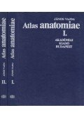 Vajda János - Atlas anatomiae I-II.