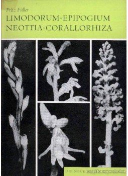 Füller, Fritz - Limodorum - Epipogium - Neottia - Corallorhiza (1967) Füller, Fritz - Limodorum - Epipogium - Neottia - Corallorhiza (1967), Wittenberg Lutherstadt 1967 antikvár könyv