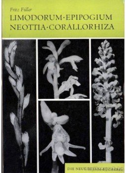 Füller, Fritz - Limodorum - Epipogium - Neottia - Corallorhiza (1967) Füller, Fritz - Limodorum - Epipogium - Neottia - Corallorhiza (1967), Wittenberg Lutherstadt 1977 antikvár könyv