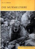 Bibikov, D. I. - Die Murmeltiere (A mormoták)
