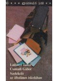 Ladányi János,Csanádi Gábor - Szelekció az általános iskolában