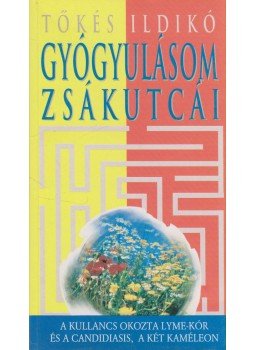 Tőkés Ildikó - Gyógyulásom zsákutcái,  1995 antikvár könyv