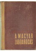 Sebes Gusztáv - A magyar labdarúgás