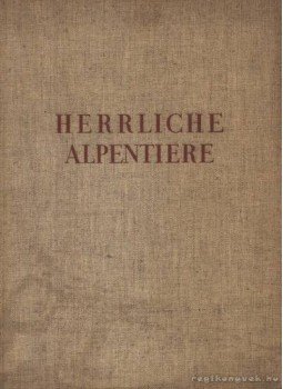 Schocher, Bartholome - Herrliche Alpentiere (Gyönyörű alpesi állatok) Schocher, Bartholome - Herrliche Alpentiere (Gyönyörű alpesi állatok), Erlenbach - Zürich 1939 antikvár könyv