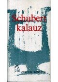 Gádor Ágnes - Schubert kalauz