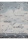 Wachs, Horst - Vögel am Meer