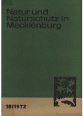 Több szerző - Natur und Naturschutz in Mecklenburg 1972/10 (Természetvédelem Mecklenburgban 1972/10)