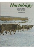 Kapocsy György - Hortobágy