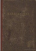 Stickelberger, Emanuel - A sárga lovas