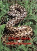 Újvári Beáta,Korsós zoltán,Péchy Tamás - Rákosi vipera védelmi program