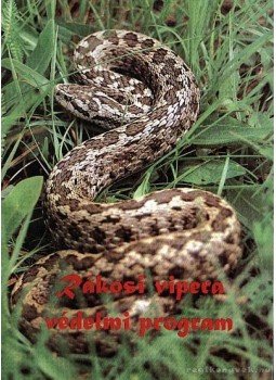 Újvári Beáta, Korsós zoltán, Péchy Tamás - Rákosi vipera védelmi program Újvári Beáta, Korsós zoltán, Péchy Tamás - Rákosi vipera védelmi program, 0 antikvár könyv