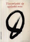 Pető Tóth Károly - Tízezerlyukú síp egylyukú rosta