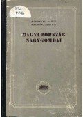 Bánhegyi József;Bohus Gábor;Kalmár Zoltán;Ubizsy Gábor - Magyarország nagygombái