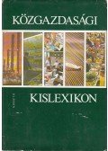 Varsádi Zsuzsa - Közgazdasági kislexikon