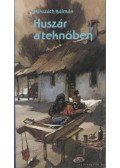Mikszáth Kálmán - Huszár a teknőben
