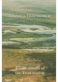 Sári Zsolt - Ezer év a Tisza mentén / A millennium in the Tisza region