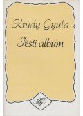 Krúdy Gyula - Pesti album
