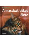 Taylor, David - A macskák titkos élete