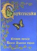 Grimm - Csipkerózsika