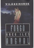 Greg Iles - Forgó angyal
