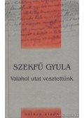 Szekfű Gyula - Valahol utat vesztettünk