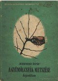 Jeszenszky Árpád - A gyümölcsfák metszése képekben