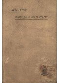 Szűcs Ernő - Győzelem a halál felett