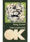 Rideg Sándor - Indul a bakterház