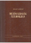 Dr. Hajas József - Dr. Rázsó Imre - Mezőgazdaság számokban