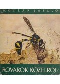 Dr. Móczár László - Rovarok közelről...