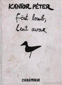 Kántor Péter - Fönt lomb, lent avar Kántor Péter - Fönt lomb, lent avar, null 1993 antikvár könyv