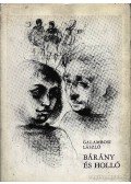 Galambosi László - Bárány és holló