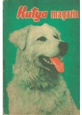 Bíró András - Kutya magazin 1970