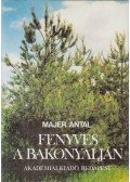 Majer Antal - Fenyves a Bakonyalján
