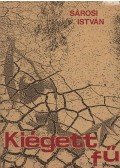 Sárosi István - Kiégett fű