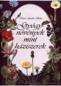 Varró Aladár Béla - Gyógynövények mint háziszerek