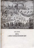 Fitz Jenő - Séta a régi Székesfehérvárt