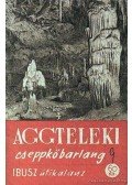 Szemes István - Aggteleki cseppkőbarlang