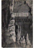Kessler Hubert - Lillafüred barlangjai