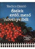 Radics László - Ételek erdő, mező növényeiből