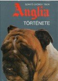 Szántó György Tibor - Anglia története