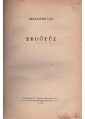 Szerafimovics, A. - Erdőtűz